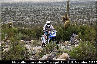lucchese_0001_dakar_2013.jpg