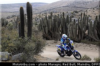 metge_0003_dakar_2013.jpg