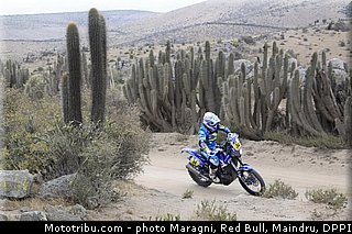 metge_0023_dakar_2013.jpg
