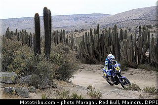 pain_0017_dakar_2013.jpg