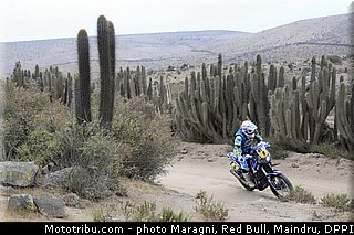 pain_0047_dakar_2013.jpg