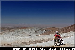 pizzolito_0002_dakar_2013.jpg