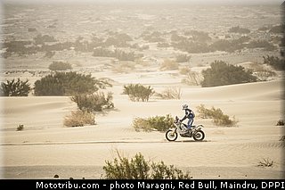 reeve_0006_dakar_2013.jpg