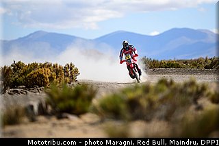 rodrigues_0006_dakar_2013.jpg
