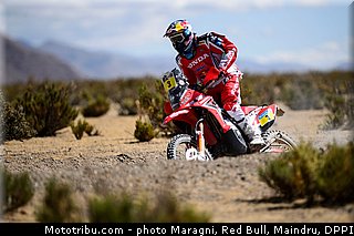 rodrigues_0007_dakar_2013.jpg