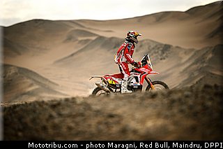 rodrigues_0008_dakar_2013.jpg