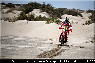 rodrigues_0014_dakar_2013.jpg