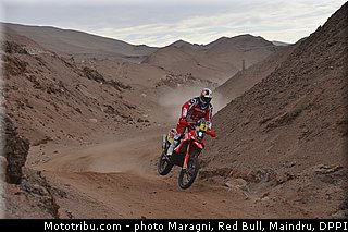 rodrigues_0023_dakar_2013.jpg