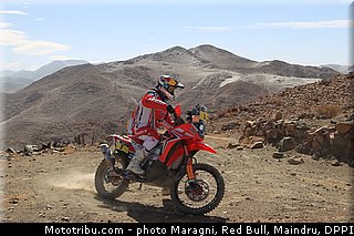 rodrigues_0032_dakar_2013.jpg