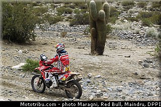 rodrigues_0035_dakar_2013.jpg