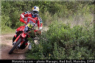 rodrigues_0036_dakar_2013.jpg