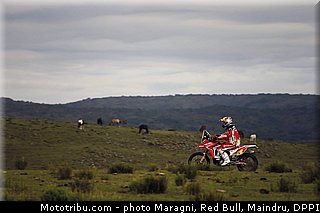 rodrigues_0041_dakar_2013.jpg