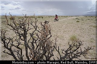 rodrigues_0066_dakar_2013.jpg
