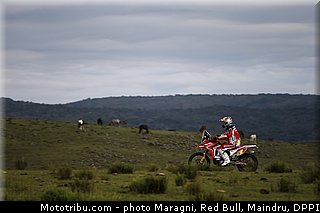 rodrigues_0089_dakar_2013.jpg