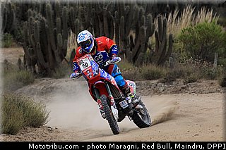salvatierra_0002_dakar_2013.jpg