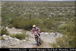 sanz_0009_dakar_2013.jpg