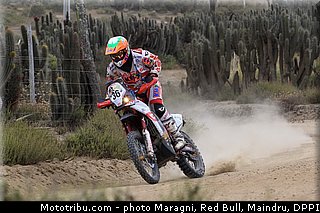 sanz_0018_dakar_2013.jpg