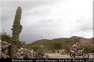 sanz_0033_dakar_2013.jpg