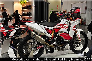 sanz_0037_dakar_2013.jpg