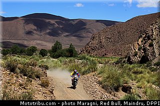 vagnoni_0001_dakar_2013.jpg
