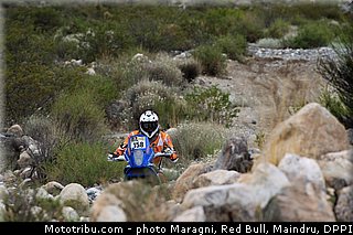 vellutino_0001_dakar_2013.jpg