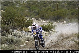 verhoeven_0007_dakar_2013.jpg