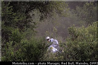 verhoeven_0008_dakar_2013.jpg