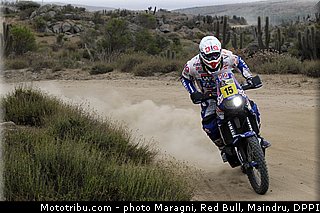 verhoeven_0011_dakar_2013.jpg