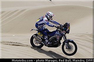 verhoeven_0012_dakar_2013.jpg