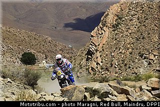 verhoeven_0029_dakar_2013.jpg