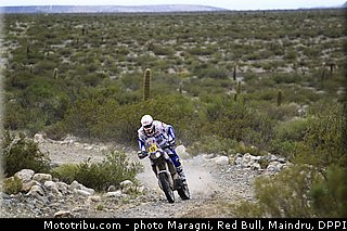 verhoeven_0031_dakar_2013.jpg