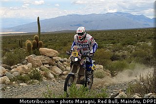 verhoeven_0032_dakar_2013.jpg