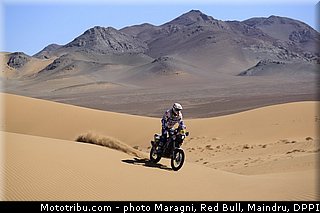 verhoeven_0039_dakar_2013.jpg