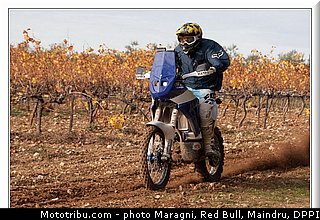 west_0019_dakar_2013.jpg