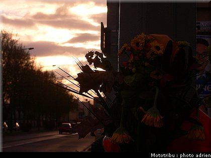 place_bonhuil_007.JPG