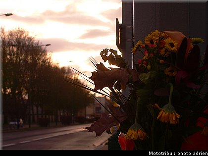 place_bonhuil_008.JPG