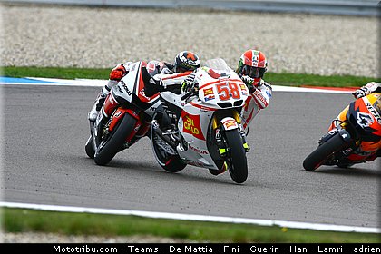 simoncelli_marco_2011_013.jpg