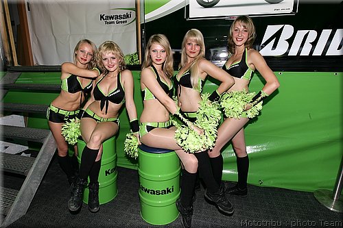 pitbabes_15.jpg