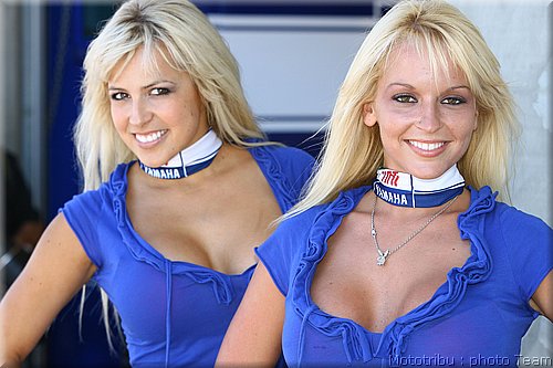 pitbabes_10.jpg