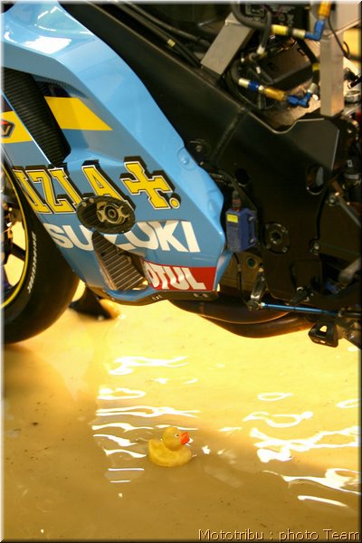 suzuki_2