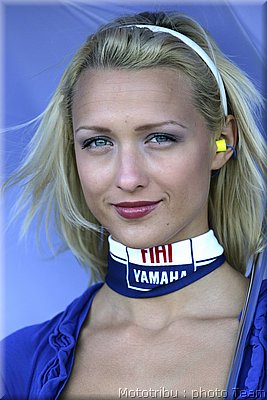 pitbabes_08.jpg
