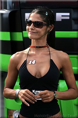 pitbabes_27.jpg