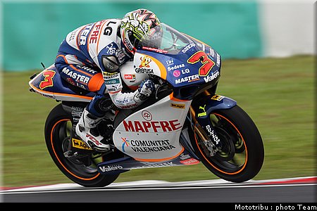 250_deangelis.jpg