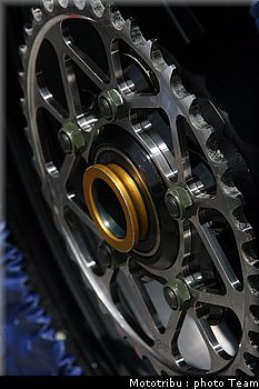 motogp_yamaha_2.jpg