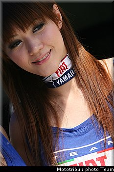 pitbabes_08.jpg
