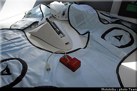 250_simoncelli_3.jpg
