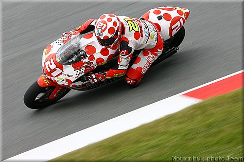 250-barbera_1.jpg