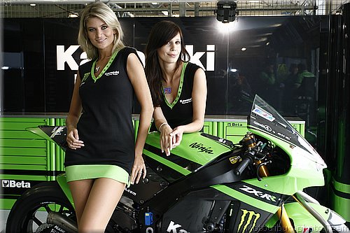 pitbabes_02.jpg