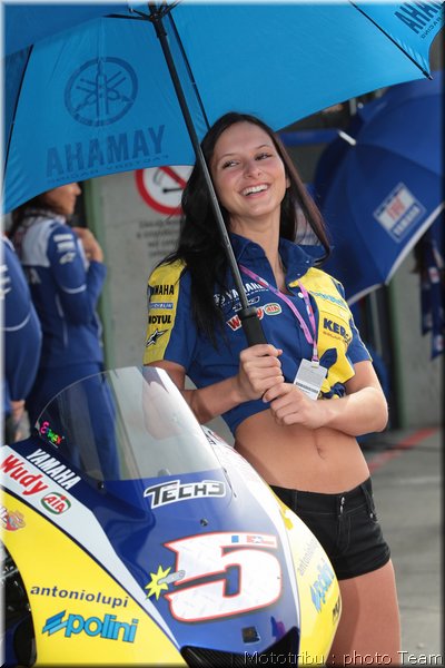 pitbabes_06