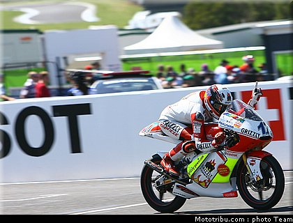 125_bradl_1.jpg